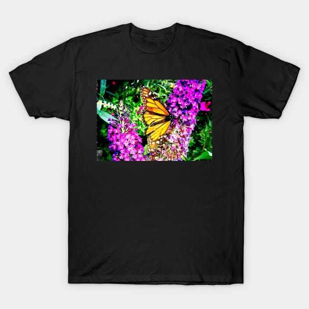 Monarch Butterfly on Purple Flowers T-Shirt by 1Redbublppasswo